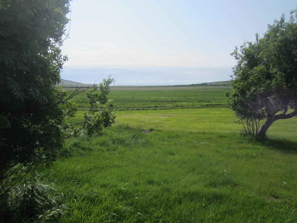 Nes Guesthouse Reykholt  Zewnętrze zdjęcie